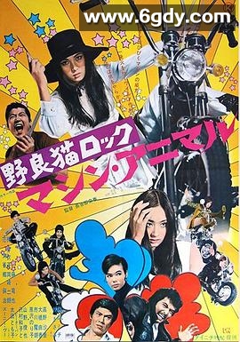 野良猫洛克：机械动物(1970)HD高清迅雷网盘磁力下载