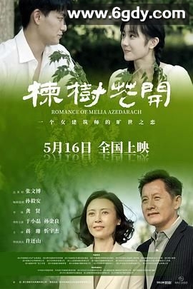 楝树花开(2025)HD高清迅雷网盘磁力下载