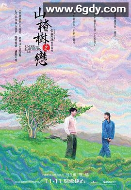 山楂树之恋(2010)HD高清迅雷网盘磁力下载