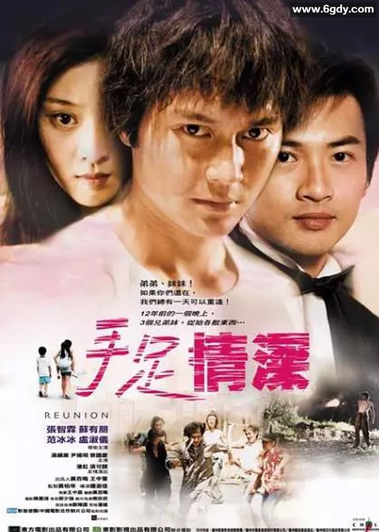 手足情(2002)HD高清迅雷网盘磁力下载