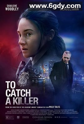 追凶(2023)HD高清迅雷网盘磁力下载