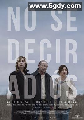 不知怎么说再见(2017)HD高清迅雷网盘磁力下载