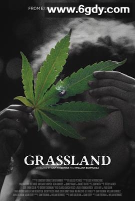 草叶之下(2025)HD高清迅雷网盘磁力下载