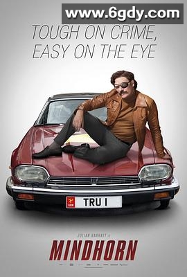 蛮好侦探(2016)HD高清迅雷网盘磁力下载