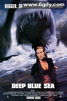 深海狂鲨(1999)HD高清迅雷网盘磁力下载