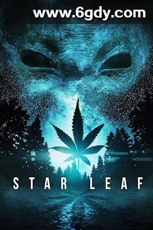 天外飞叶(2015)HD高清迅雷网盘磁力下载