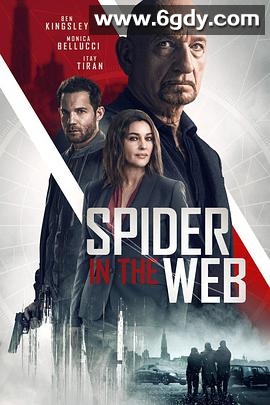 网中蜘蛛(2019)HD高清迅雷网盘磁力下载