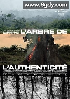 原真之树(2025)HD高清迅雷网盘磁力下载