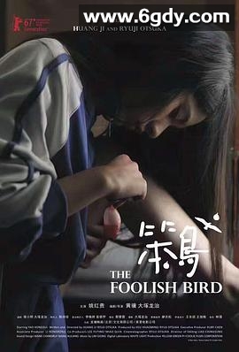 笨鸟(2017)HD高清迅雷网盘磁力下载