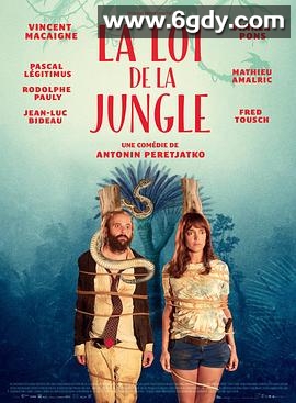 丛林法则(2016)HD高清迅雷网盘磁力下载