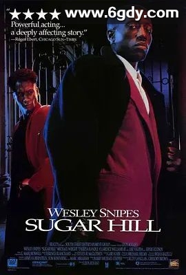 义胆情深(1994)超清高清迅雷网盘磁力下载