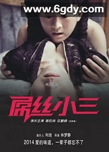 屌丝小三(2014)HD高清迅雷网盘磁力下载