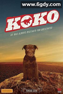 Koko:红犬历险记(2019)HD高清迅雷网盘磁力下载