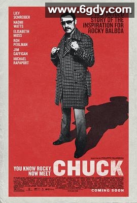 流血的拳击手(2016)HD高清迅雷网盘磁力下载