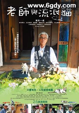 老师与流浪猫(2015)HD高清迅雷网盘磁力下载