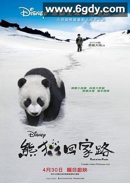 熊猫回家路(2009)HD高清迅雷网盘磁力下载