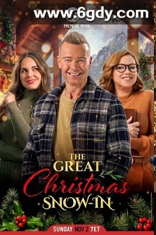 风雪圣诞情(2025)HD高清迅雷网盘磁力下载