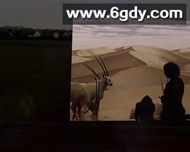 何处是巧克力山(2015)HD高清迅雷网盘磁力下载