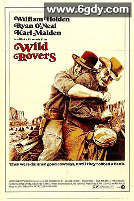 戎马闯天关(1972)超清高清迅雷网盘磁力下载