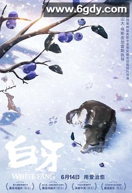 白牙(2018)超清高清迅雷网盘磁力下载