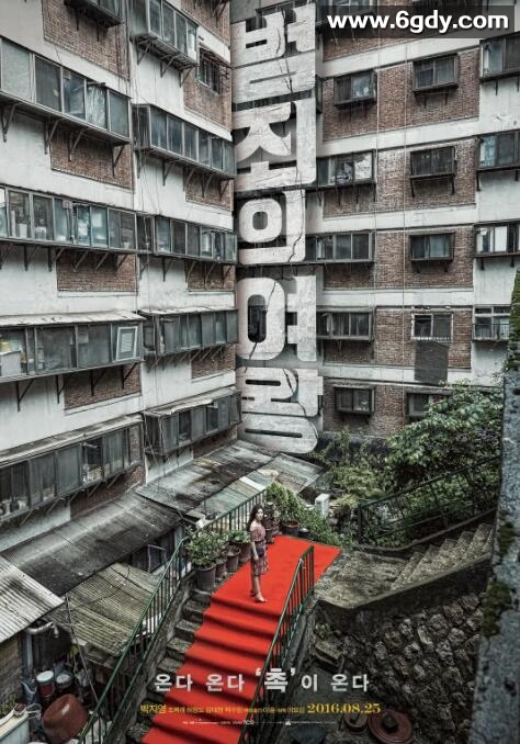 犯罪女王(2016)HD高清迅雷网盘磁力下载