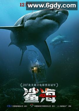鲨海(2016)HD高清迅雷网盘磁力下载