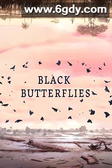 黑蝴蝶(2024)HD高清迅雷网盘磁力下载