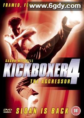 搏击之王4：入侵者(1994)HD高清迅雷网盘磁力下载