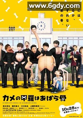 乌龟的壳其实是肋骨(2022)HD高清迅雷网盘磁力下载