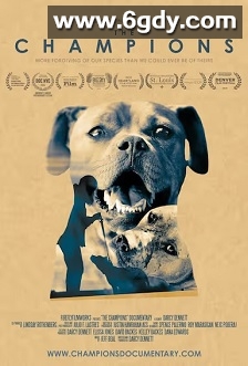 冠军斗士(2015)HD高清迅雷网盘磁力下载