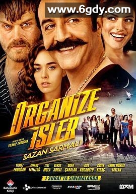 有组织的工作(2019)HD高清迅雷网盘磁力下载