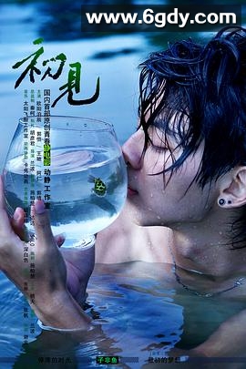 初见(2013)HD高清迅雷网盘磁力下载