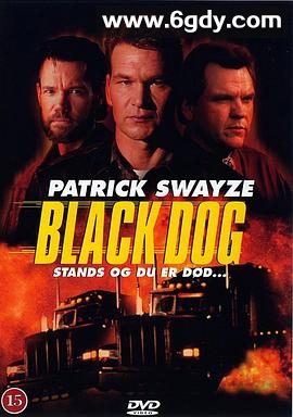 狭路相逢(1998)HD高清迅雷网盘磁力下载