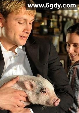 绝对保险(2015)HD高清迅雷网盘磁力下载