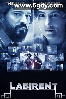 迷宫谍影(2011)HD高清迅雷网盘磁力下载