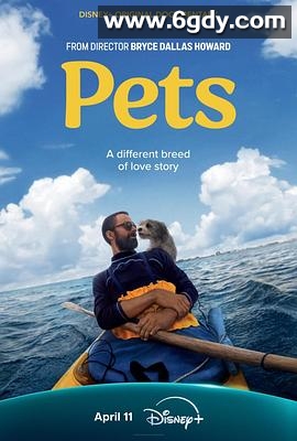 爱宠情缘(2025)HD高清迅雷网盘磁力下载