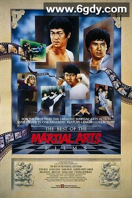 金装武术电影大全(1990)HD高清迅雷网盘磁力下载