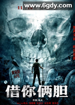 借你俩胆(2012)HD高清迅雷网盘磁力下载