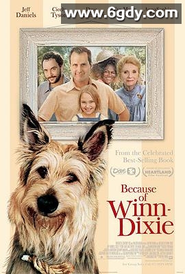 都是戴茜惹的祸(2005)HD高清迅雷网盘磁力下载