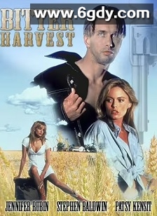 爱人强盗(1993)HD高清迅雷网盘磁力下载