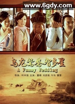 乌龙鸳鸯智多星(2013)HD高清迅雷网盘磁力下载