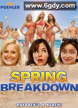 春假一团糟(2009)HD高清迅雷网盘磁力下载