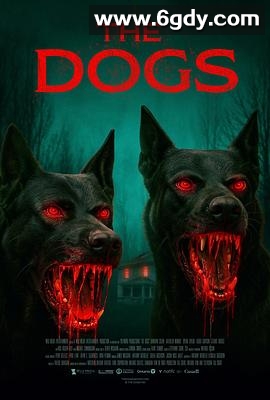 通灵恶犬(2025)HD高清迅雷网盘磁力下载