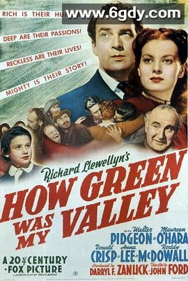 青山翠谷(1941)HD高清迅雷网盘磁力下载