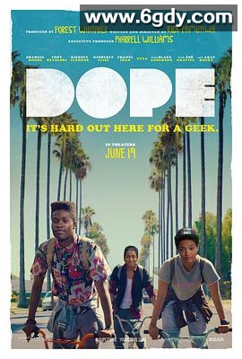 酷毙了(2015)HD高清迅雷网盘磁力下载