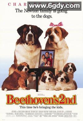 无敌当家2(1993)HD高清迅雷网盘磁力下载