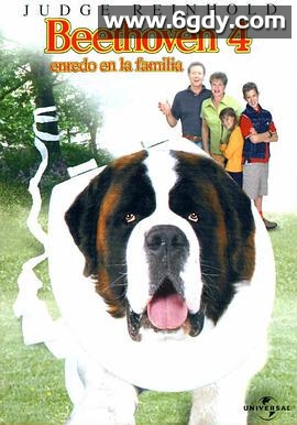 无敌当家4(2001)HD高清迅雷网盘磁力下载