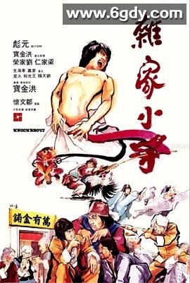 杂家小子(1979)HD高清迅雷网盘磁力下载