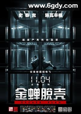 金蝉脱壳(2013)HD高清迅雷网盘磁力下载