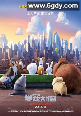 爱宠大机密(2016)HD高清迅雷网盘磁力下载